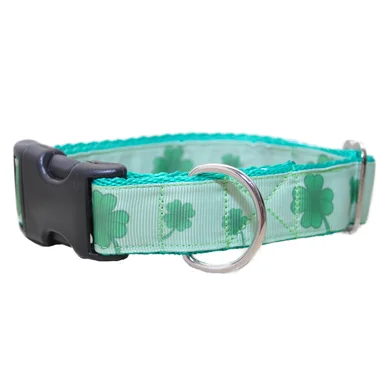 Shamrock 4 Leaf Clover Dog Collar