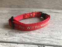 Marriage Wedding Puppy Collar Will you Marry Me? Collar 2