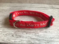 Marriage Wedding Puppy Collar Will you Marry Me? Collar 1