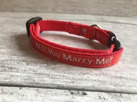 Marriage Wedding Puppy Collar Will you Marry Me? Collar 3