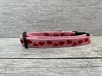 Watermelon Puppy/Small Dog Collar 4