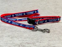 Two Tone Blue with Red Partially Sighted Blind Dog Collar 1