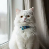 Sea Turtle Cat Collar with Bell & Charm 2