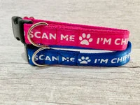 Chipped Scan Me Dog Collar 2