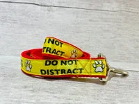 I'm Training Do Not Distract Ribbon Alert Dog Lead 3