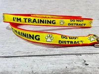 I'm Training Do Not Distract Ribbon Alert Dog Lead 1
