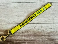 Give Me Space Alert Short Extension Dog Lead | UK 24