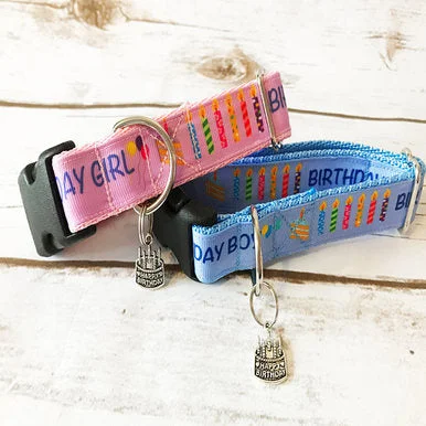 Birthday Boy Birthday Girl Dog Collar