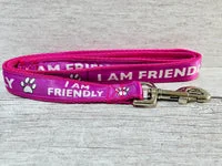 I am Friendly Ribbon Dog Lead 1
