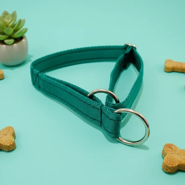 Plain Semi-Slip Dog Collar