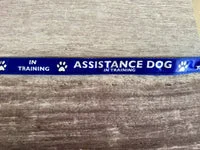 In Training Assistance Alert Dog Collar 2