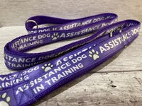 In Training Assistance Alert Dog Collar 9