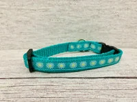 Daisy Print Puppy/Small Dog Collar 2