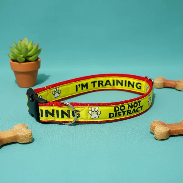 I'm Training Do Not Distract Alert Dog Collar
