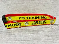 I'm Training Do Not Distract Alert Dog Collar 2