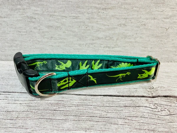 Green Jurassic Dinosaur Skeleton Bones Dog Collar