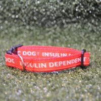 Medical Alert Puppy & Small Dog Collar - Epileptic Seizures & Diabetic Dog 6