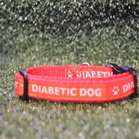 Medical Alert Puppy & Small Dog Collar - Epileptic Seizures & Diabetic Dog 4
