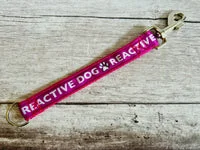 Alert Short Extension Dog Lead | UK 14