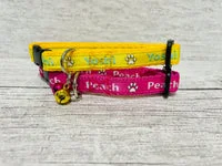 Personalised Name Cat Collar 4