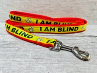 I Am Blind Dog Collar - Yellow on Red 4
