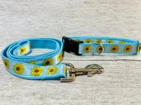Blue Sunflower Heads Dog Collar 2