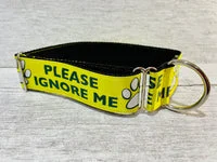 Please Ignore - Support Alert Dog Collar 8