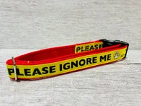 Please Ignore - Support Alert Dog Collar 4