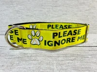 Please Ignore - Support Alert Dog Collar 7