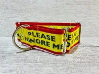 Please Ignore - Support Alert Dog Collar 9