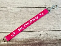 Please Ignore Me Alert Short Extension Dog Lead | UK 15