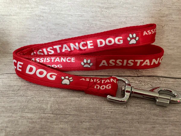 Assistance Dog Lead