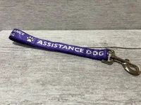 Assistance Dog Lead 7