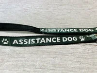 Assistance Dog Lead 2