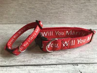 Will You Marry Me Dog Collar - Valentine's Proposal 4