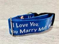 Will You Marry Me Dog Collar - Valentine's Proposal 3
