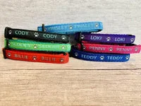 Personalised Cat Collar with Chipped Status 3