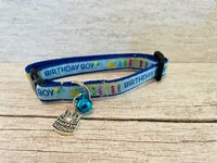 Birthday Cake Candles Puppy/Small Dog Collar 2