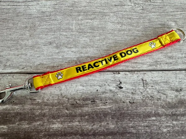 Reactive Dog Alert Short Extension Dog Lead | UK