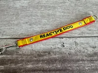 Reactive Dog Alert Short Extension Dog Lead | UK 1