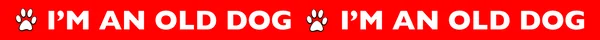 I'm an Old Alert Dog Collar