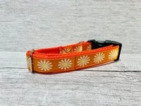 Orange Daisy Dog Collar 3