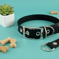 Black Biothane Waterproof Dog Collar