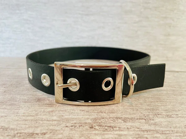 Black Biothane Waterproof Dog Collar