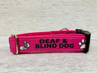Deaf and Blind Alert Dog Collar 12