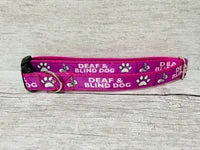 Deaf and Blind Alert Dog Collar 3
