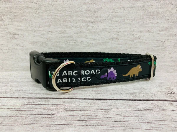Dinosaur Personalised Dogs Custom Print Dog Collar