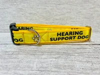 Hearing Support Dog Collar 1