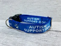 Autism Support Dog Collar 12