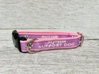 Autism Support Dog Collar 17